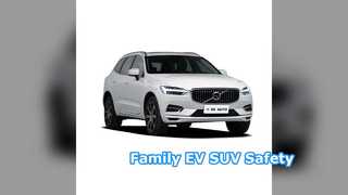 48v Light Hybrid EV SUV Family Car