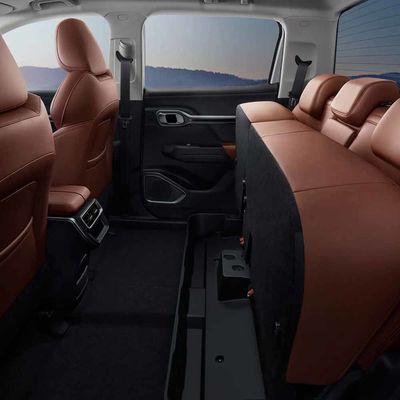 632Km EV Pickup Truck Camper 2023 Geely Radar Rd6 For Business Family