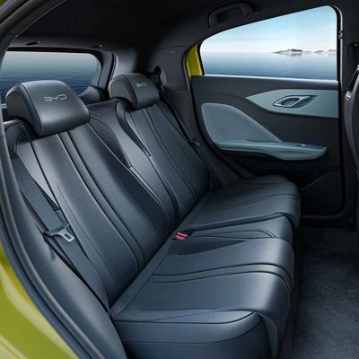 Automatic Transmission 3-4 Hours Charging Time Seagull BYD EV Car Battery Powered