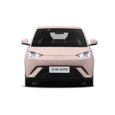 Automatic Transmission 3-4 Hours Charging Time Seagull BYD EV Car Battery Powered