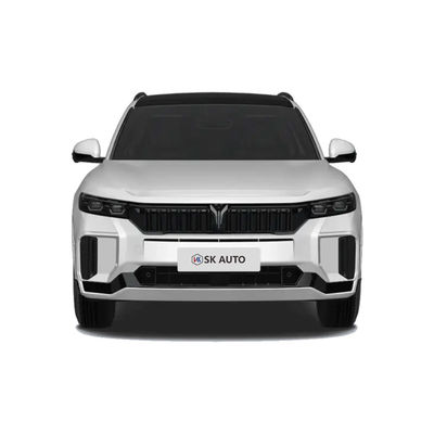 2025 VOYAH FREE 318 China New Energy Vehicle SUV Range 318KM Rear-Wheel Drive Four-Wheel