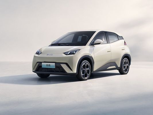 2025 New Model BYD Seagull Fast Charging Electric Vehicle Hot Selling Mini EV Long Range and Big Battery 405KM